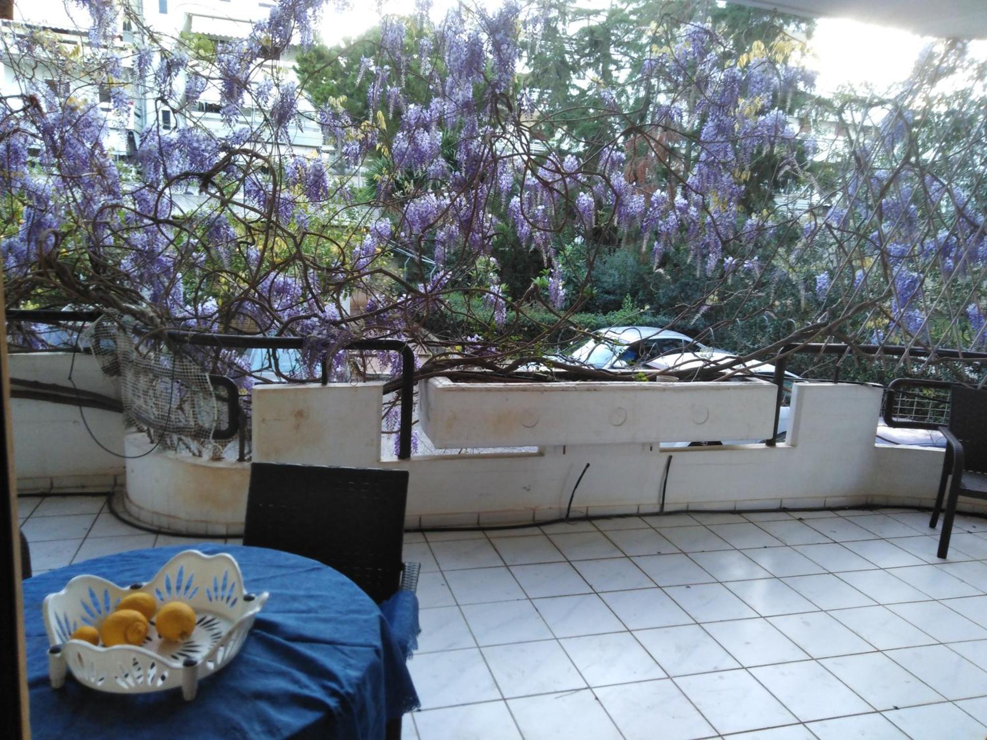 Filyra Homestay Athen Værelse billede